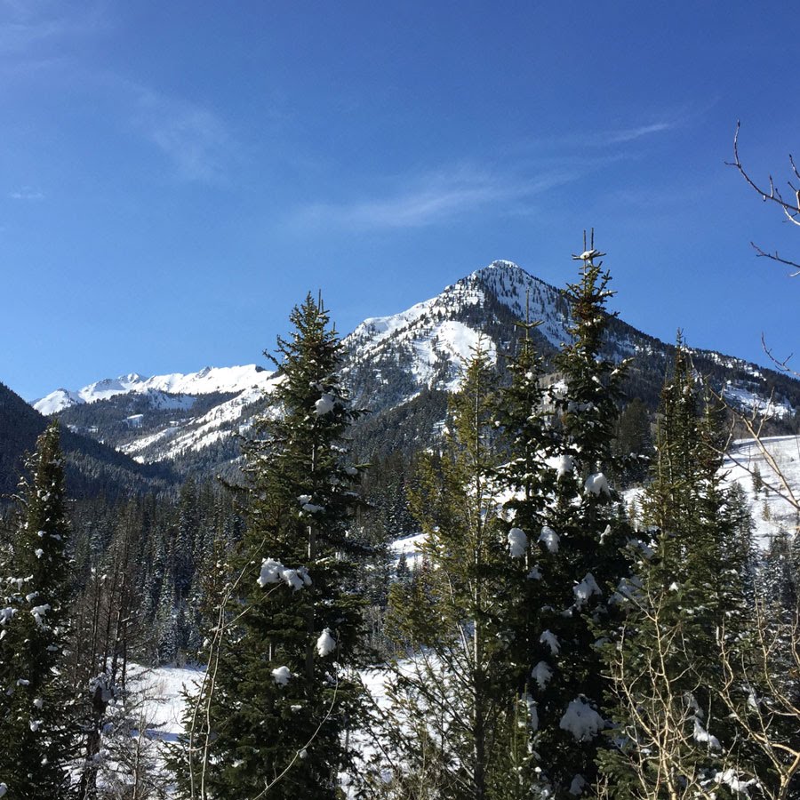 Wasatch Mountains, Big Cottonwood Canyon, Mill D North Trail, Utah - February 13, 2016