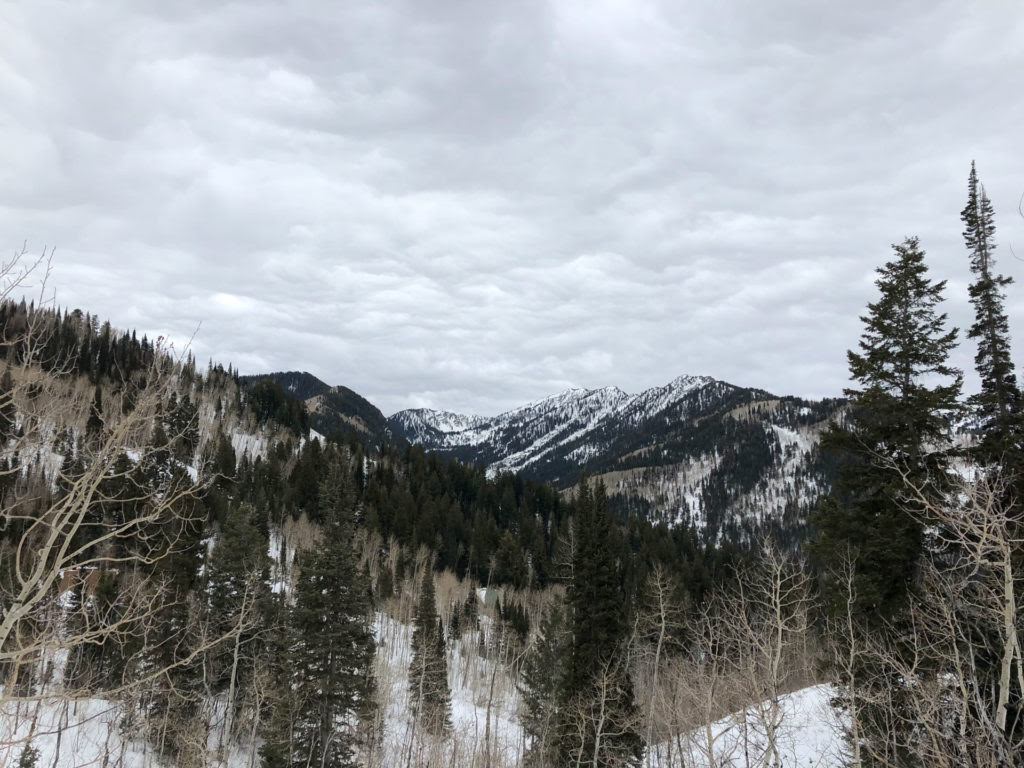 Mill D North in Winter, Wasatch Mountains, Utah
