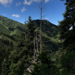Bowman Fork Trail, Milcreek Canyon, Utah