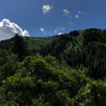 Bowman Fork Trail, Milcreek Canyon, Utah