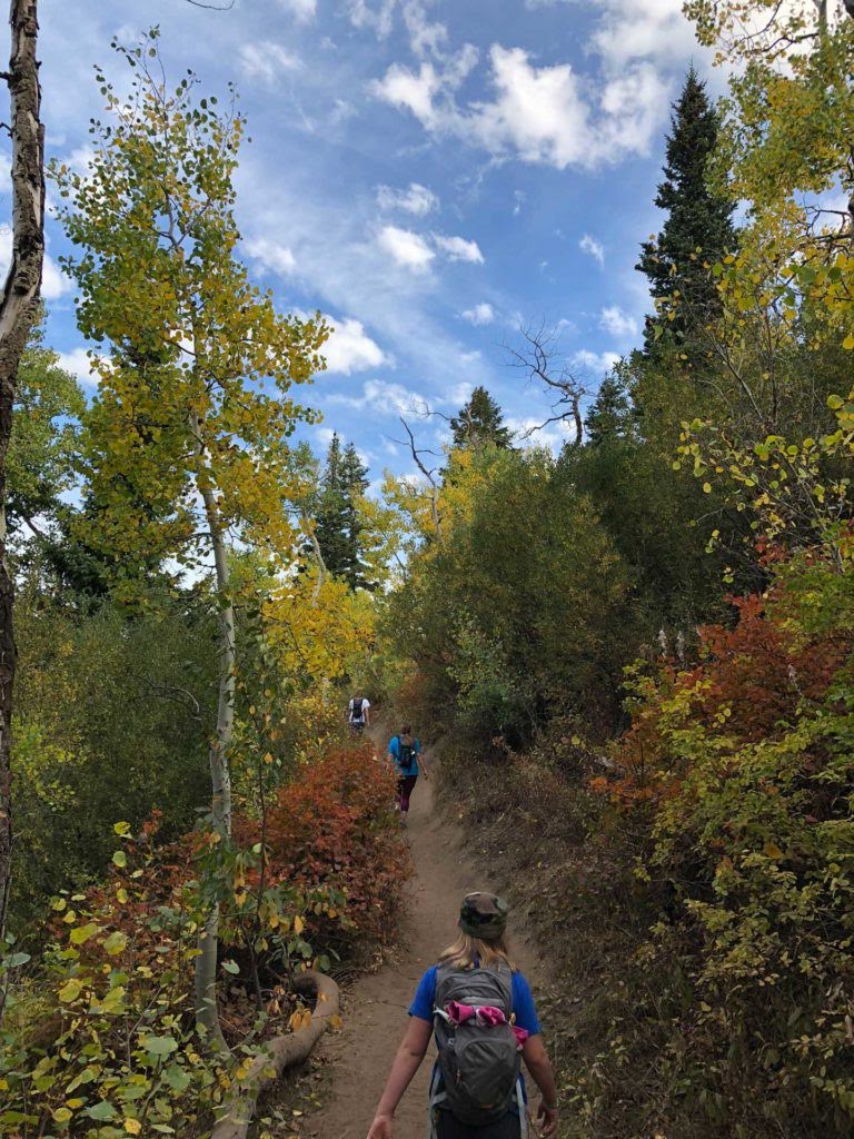 Dog Lake via Big Water Trail, Milcreek Canyon, Wasatch Mountains, Utah