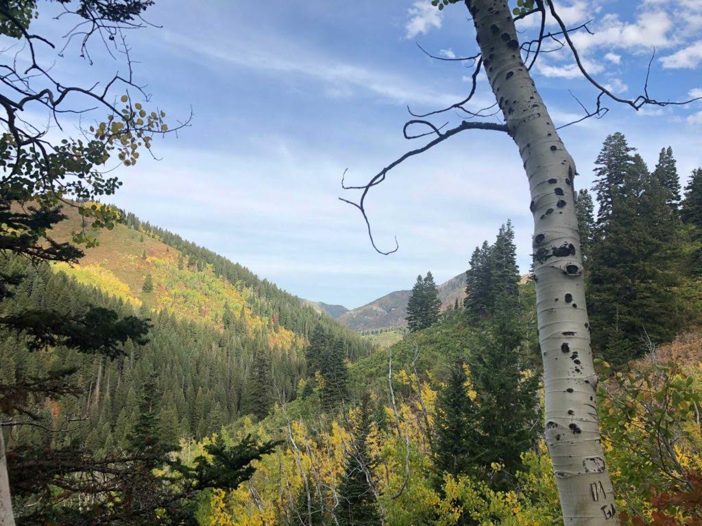 Dog Lake via Big Water Trail, Milcreek Canyon, Wasatch Mountains, Utah