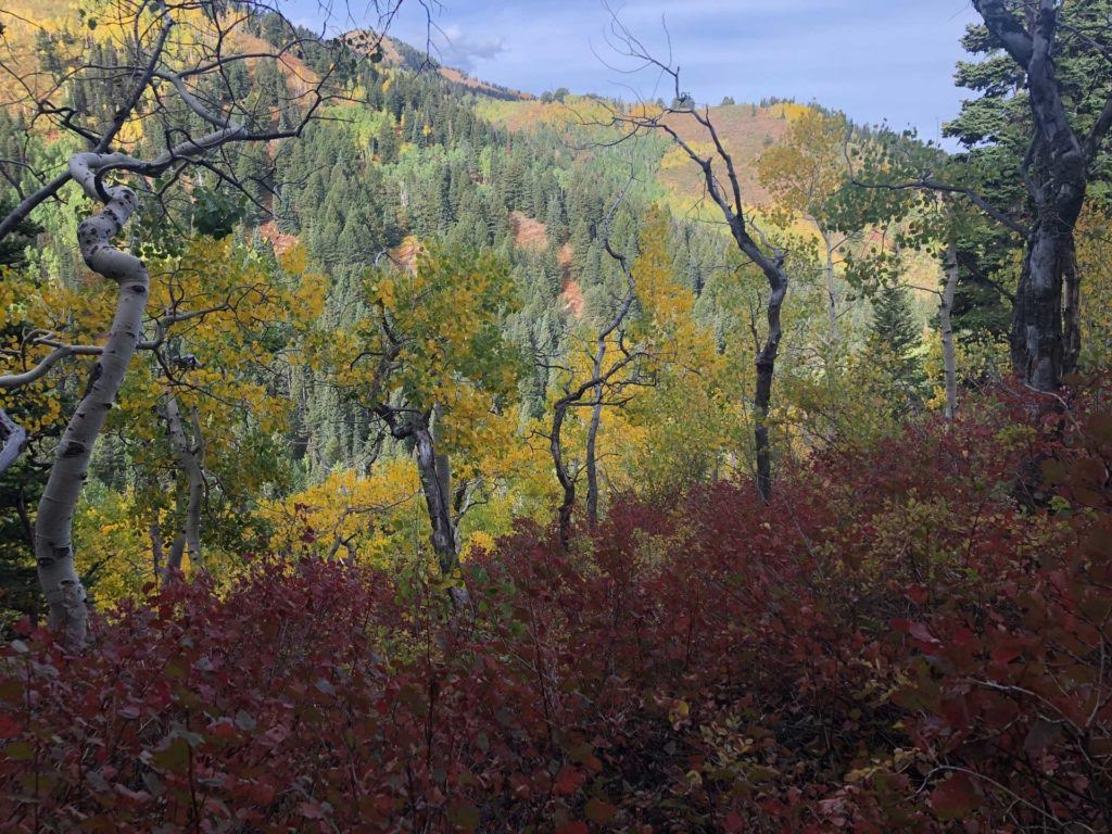 Dog Lake via Big Water Trail, Milcreek Canyon, Wasatch Mountains, Utah