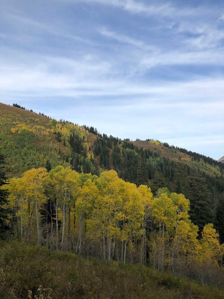 Dog Lake via Big Water Trail, Milcreek Canyon, Wasatch Mountains, Utah