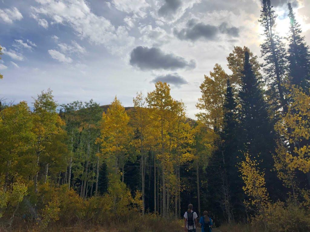 Dog Lake via Big Water Trail, Milcreek Canyon, Wasatch Mountains, Utah