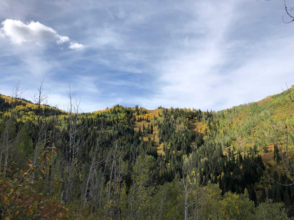 Dog Lake via Big Water Trail, Milcreek Canyon, Wasatch Mountains, Utah